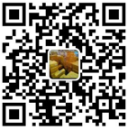1624499631480571.png img-25.png